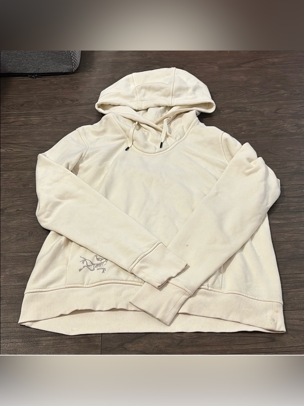 Arc'teryx Hoodie